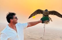 Private Car: Evening Desert Safari with BBQ Dinner