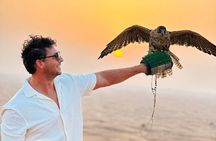 Evening Desert Safari with BBQ Dinner