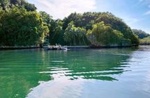 Los Haitises Boat Ride and Caño Hondo Natural Pools