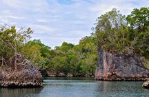 Los Haitises Boat Ride and Caño Hondo Natural Pools