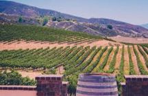 Small Group Wine Tour to Temecula from Los Angeles