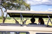 9 Days Tanzania Big Five Safari and Zanzibar Beach Holiday 
