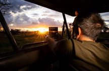 7 Days Tanzania Wildlife Safari & Cultural Tour