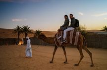 Quad Biking Dubai With Desert Safari Dune Bashing Camel Ride