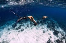 Gili Trawangan : Private Snorkeling with 3 spots or 4 spots