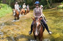 Jungle Horseback Riding with Lunch
