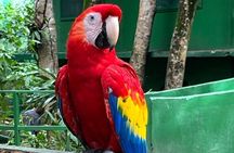 wildlife Monkey Sloth west Bay Beach with Pool Island Tour