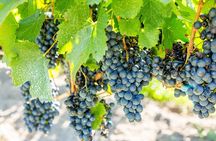 4-Day Salta: Humahuaca Valley & Cafayate Wineries