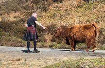 Luxury Private Tour of The Highlands 
