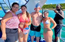 2 Hours Sip and Snorkeling Experience in Bahamas