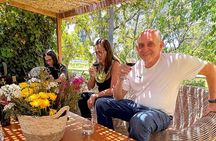 Andes Portillo & Aconcagua Premium vineyard tasting semi private