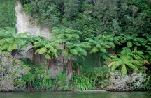  Rotorua Evening Big Kanu Starlight Tour