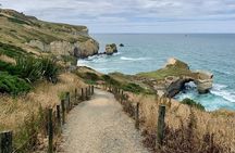 Catlins Cruiser Private Tour from Dunedin Cruise Port