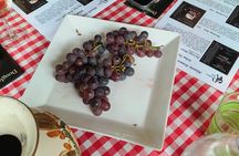 Port Macquarie Wine and Beer, Hastings Tasting Trail Tour 