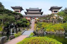 Jeju Customized Private Car Tour