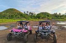 Full Day Private Tour with ATV riding at Chocolate Hills