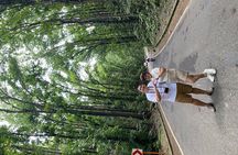 Full Day Private Tour with ATV riding at Chocolate Hills