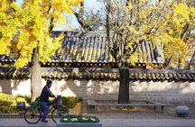 Jeonju Hanok Village Full-Day Tour: Jangtaesan Autumn Foliage