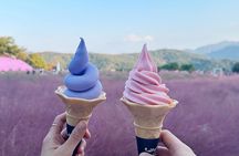 Seasonal Pocheon Full Day Tour with Apple Farm Experience