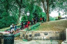 Oslo Highlights Private Walking Tour