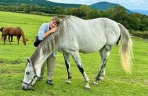 Pasture Hike with Horse Whisperer at Horse Trust in Kagoshima