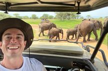 4 Days Serengeti NP, Ngorongoro Crater & Tarangire NP Safari