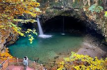 Seasonal Pocheon Full Day Tour with Apple Farm Experience