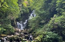 Killarney Private Minibus Tour Nat Park,Torc Waterfall,Ladies Vw.