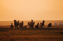 Cultural Tour at Kyrgyzstan in 8 days