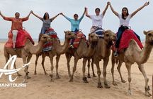 Private Day Trip from Marbella to Tangier All Inclusive