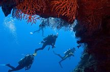 Sharm El-Sheikh: Ras Mohamed & White Island Snorkeling Trip