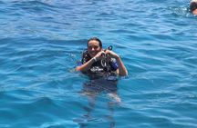 Sharm El-Sheikh: Ras Mohamed & White Island Snorkeling Trip