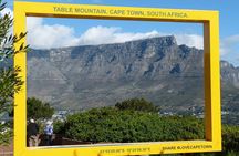 Private Tour: Table Mountain and Penguins visit