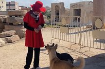 Alexandria Private tour from Cairo-10%to stray animals of Egypt