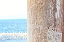 Alexandria Private tour from Cairo-10%to stray animals of Egypt
