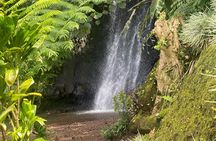 Discovery of Tahiti Nui Island 