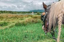 Killarney Jaunting Car Tour