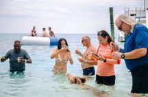 Swimming Pigs Of Rose Island & Beach Day - Group Tour