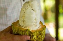 Manuel Antonio Villa Vanilla Spice Tour