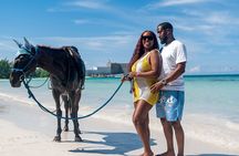 45 Minutes horseback riding at Sand and Saddle