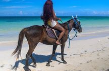 45 Minutes horseback riding at Sand and Saddle