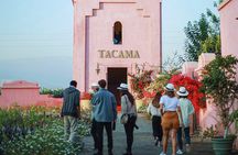 Tacama Winery : Gran Tour Tacama + Bodega Artesanal