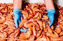 Taste of Sydney Fish Market Food Tour