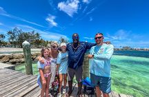 Private Rose Island Half Day Tour with Swimming Pigs and Turtles