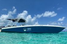 Private Rose Island Half Day Tour with Swimming Pigs and Turtles