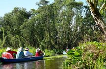 Culture and Wildlife Discovery Explore Chau Doc Tra Su Forest