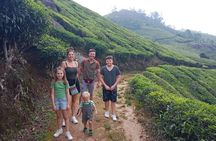 Green Magic One Night Two Days Trip to Munnar