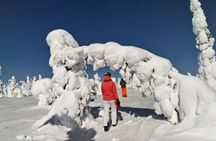 Riisitunturi and Korouoma waterfalls - Day hike from Rovaniemi