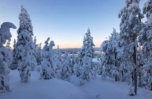 Riisitunturi and Korouoma waterfalls - Day hike from Rovaniemi