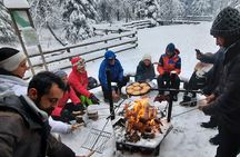 Korouoma Frozen Waterfalls & Riisitunturi A Day Hike Combo 